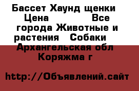 Бассет Хаунд щенки › Цена ­ 20 000 - Все города Животные и растения » Собаки   . Архангельская обл.,Коряжма г.